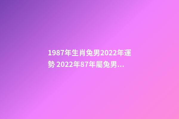 1987年生肖兔男2022年運勢 2022年87年屬兔男運勢，87年兔男2022年運勢及運程-第1張-觀點-玄機派